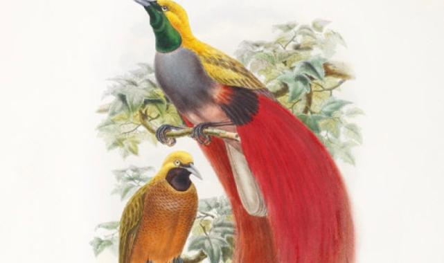 Yeni kitaplarla seç, beğen, al oku