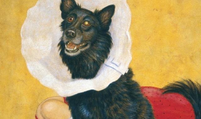 Yeni kitaplarla seç, beğen, al oku