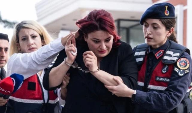 Yenidoğan çetesi soruşturmasının 18 aylık kronolojisi