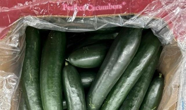 ABD’de salatalıklar salmonella riski nedeniyle incelemeye alındı