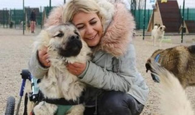 Ankara'da sokak hayvanları derneğine 'haksız kazanç' operasyonu