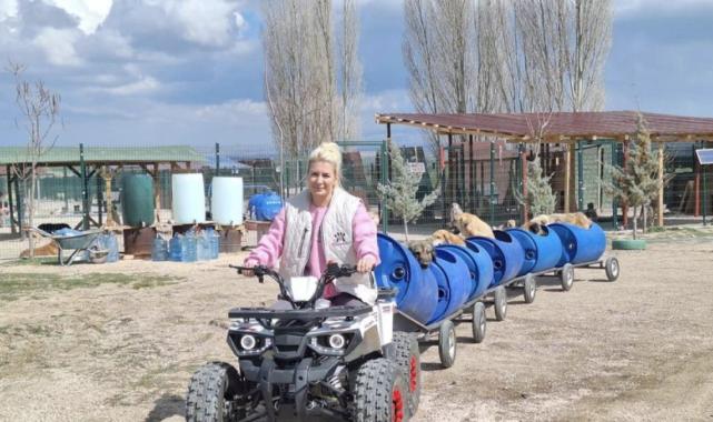 Ankara'da sokak hayvanları derneğine 'haksız kazanç' operasyonu