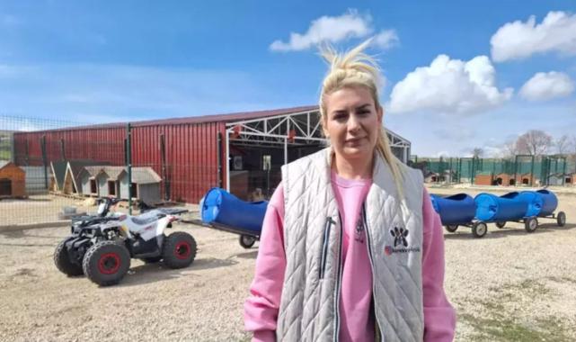 Ankara'da sokak hayvanları derneğine 'haksız kazanç' operasyonu