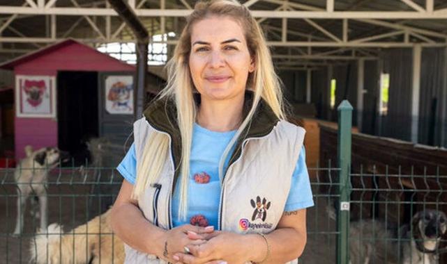 Ankara'da sokak hayvanları derneğine 'haksız kazanç' operasyonu