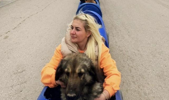 Ankara'da sokak hayvanları derneğine 'haksız kazanç' operasyonu