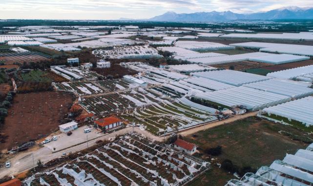Antalya'da fırtına tarım arazilerini vurdu