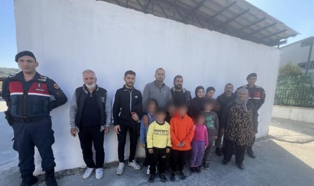 Aydın'da tarlaya gizlenen 14 düzensiz göçmen yakalandı