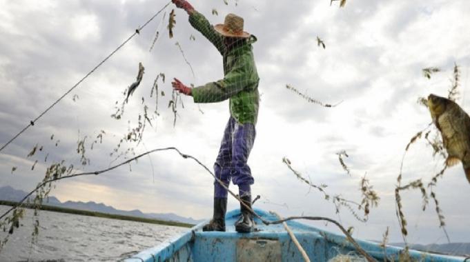 Bakanlık duyurdu: Yasaklara uymayan balıkçılara göz açtırılmayacak