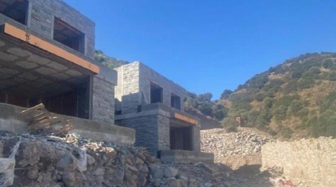 Bakanlık, Suavi’nin arsasında kesilen 40 ağaç ile ilgili inceleme başlattı