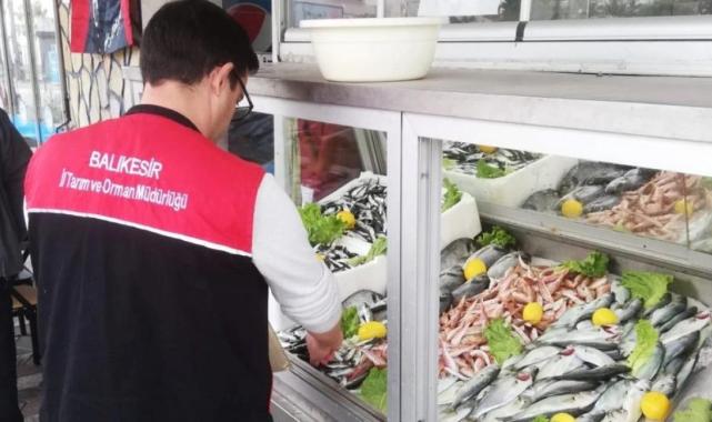 Balıkesir'de balıkçılara sıkı denetim