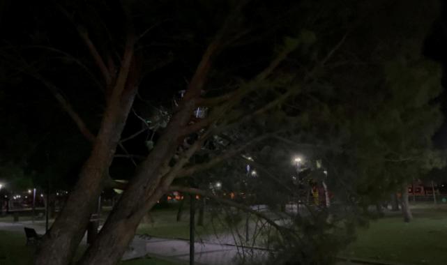 Bursa'yı lodos vurdu: Ağaçlar devrildi, durak yerinden söküldü