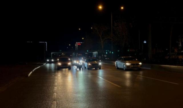 Bursa'yı lodos vurdu: Ağaçlar devrildi, durak yerinden söküldü