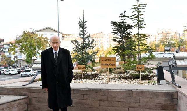 Devlet Bahçeli'den "Biz Kardeşiz Ağaçları"