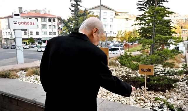 Devlet Bahçeli'den "Biz Kardeşiz Ağaçları"