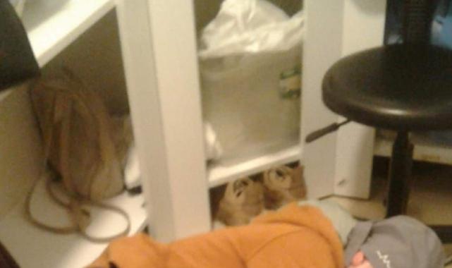 Diyarbakır'daki özel hastanede hemşirelerin uyuması sonucu ‘bebeğin öldüğü' iddiası