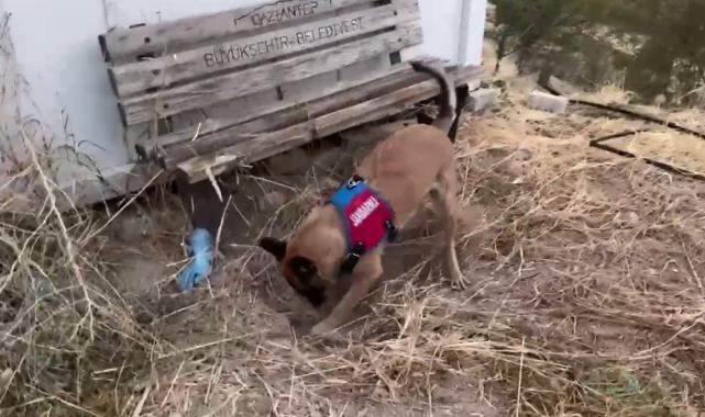 Gaziantep'de zehir tacirlerine baskın: 1 tutuklama