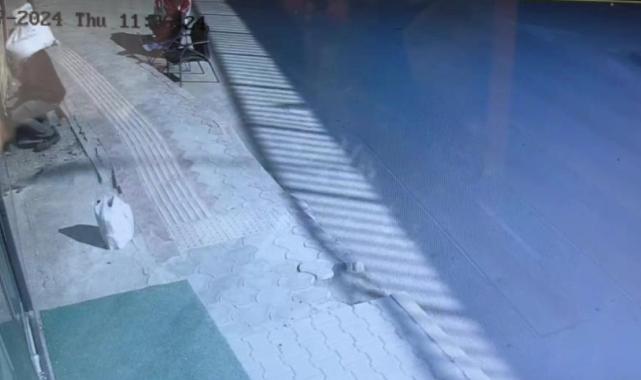 Hatay'da kaldırımda cep telefonu hırsızlığı