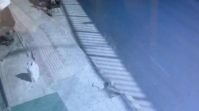 Hatay'da kaldırımda cep telefonu hırsızlığı