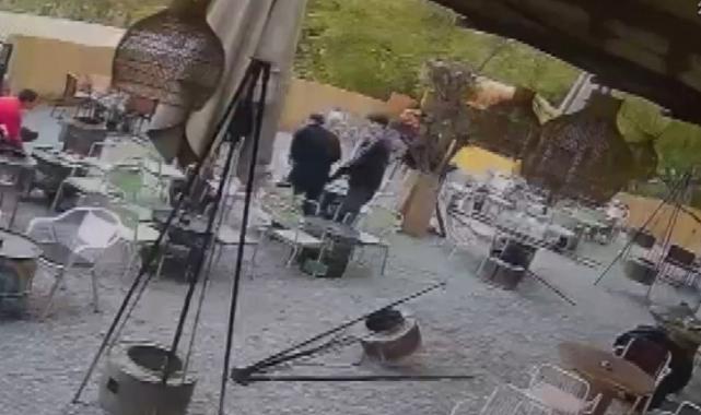 İstanbul'da başıboş gezen pitbull dehşet saçtı