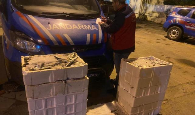 İstanbul’da yasadışı küçük boy balık nakli yapanlara ceza yağdı