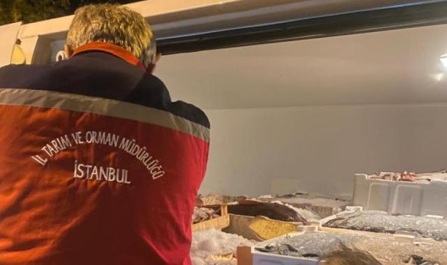 İstanbul’da yasadışı küçük boy balık nakli yapanlara ceza yağdı