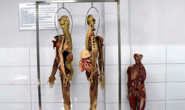 İzmir'de tıp öğrencileri için kadavra ithal ediliyor