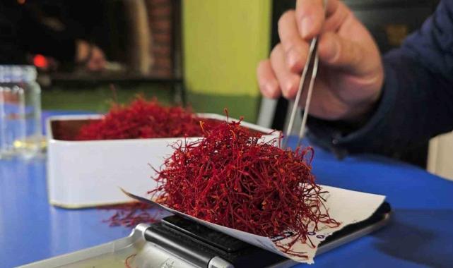 Karabük’te safran 450 bin TL’den satılacak