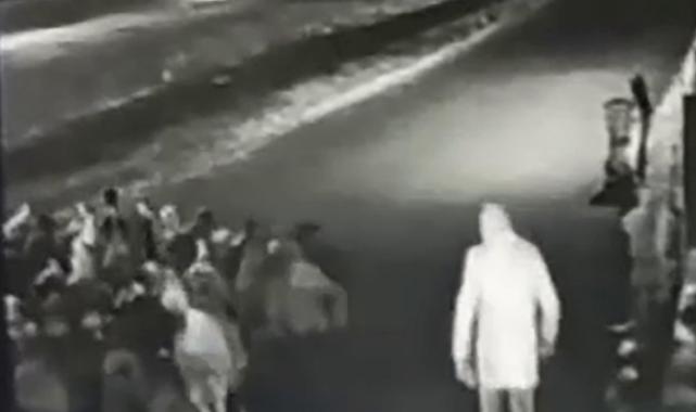 Kars'ta 90 koyun bir dakika içerisinde çalındı