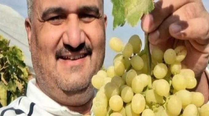 Manisalı üreticiye göre, üzümü bağında bekletenler daha karlı