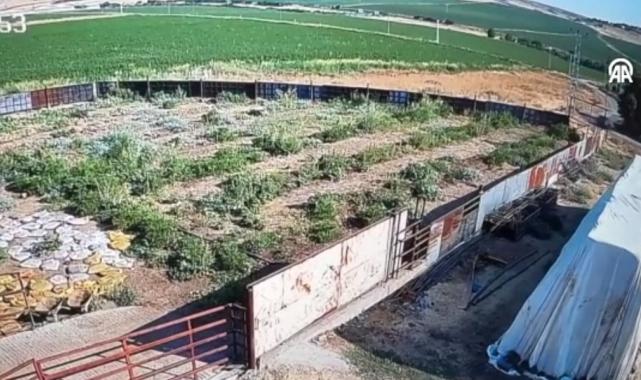 Narin Güran cinayetinde yeni detay: Cansız bedeni 38 dakikada sakladı