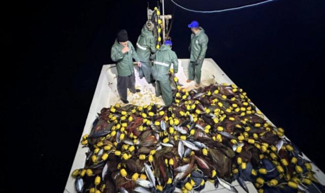 Palamut Kastamonulu balıkçıların yüzünü güldürdü