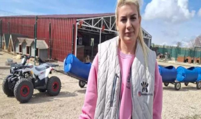 Ankara'da sokak hayvanları derneğine 'haksız kazanç' operasyonu