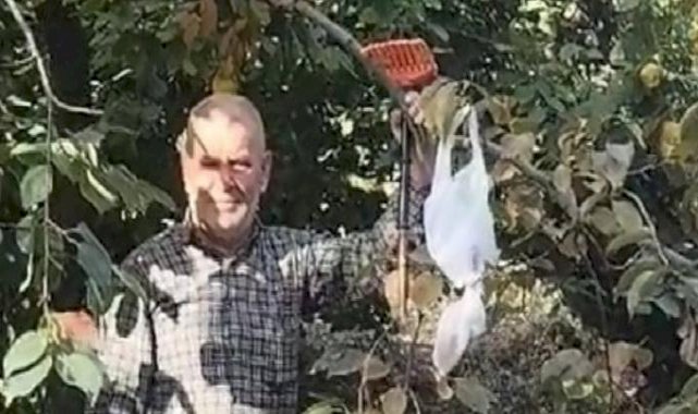 Bursa'da takdirlik hareket: Yediği hurmaların parasını ağaca astı