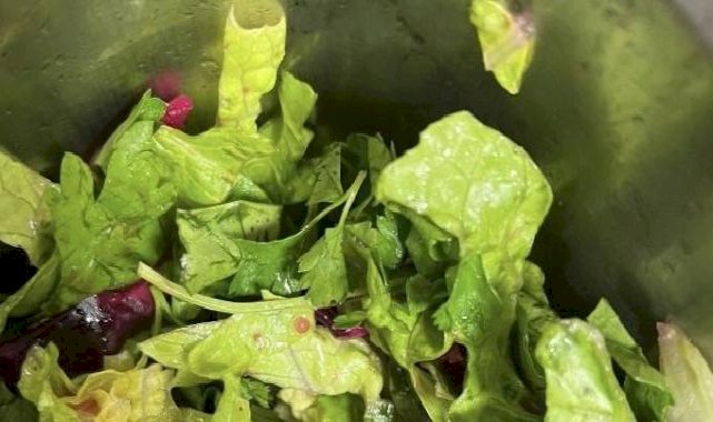 Ege Üniversitesi Hastanesi’nde Böcek Skandalı