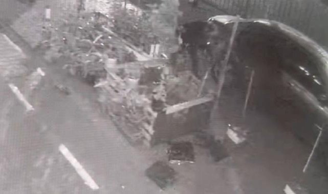 İstanbul'da ağaç hırsızlığı