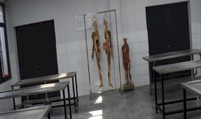 İzmir'de tıp öğrencileri için kadavra ithal ediliyor