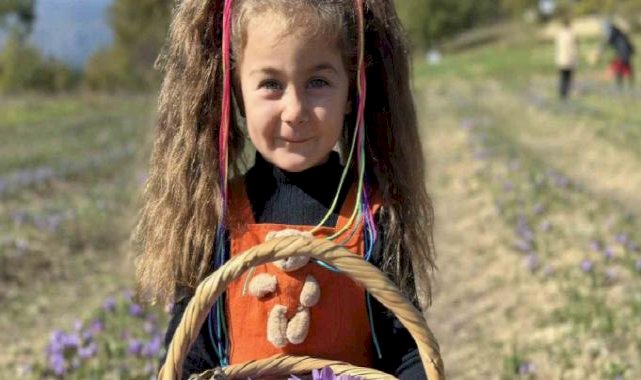 Karabük’te safran 450 bin TL’den satılacak