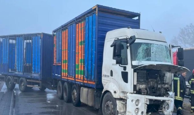 Manisa'da yağış ve sis kazaları beraberinde getirdi! Sürücüler uyarıldı!