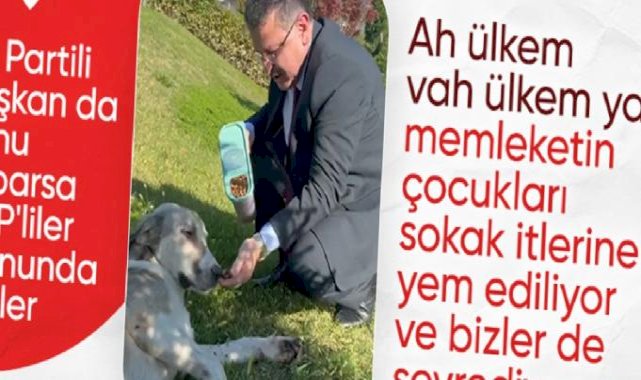 Trabzonlu Başkan Ahmet Metin Genç, sokak köpeğini eliyle besledi