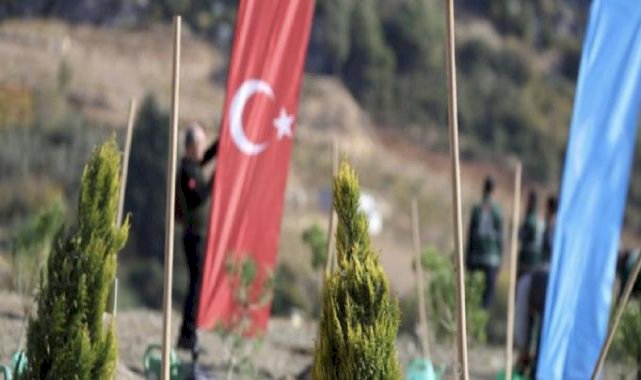 Ulaştırma projeleriyle 96,7 milyon fidan toprakla buluştu