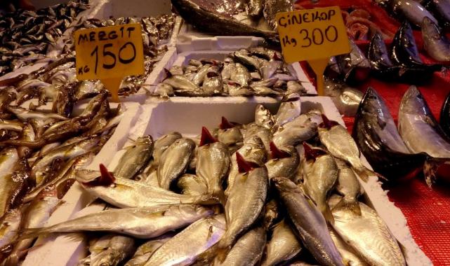 Trabzon’da hamsi bolluğu başladı