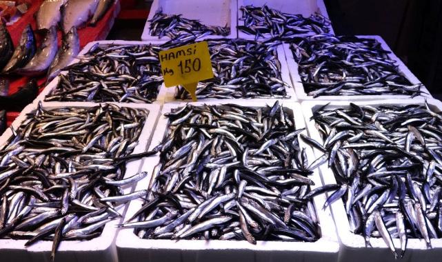 Trabzon’da hamsi bolluğu başladı