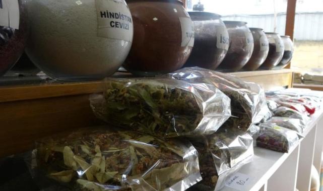 Trabzon'da ıhlamurun fiyatı ikiye katlandı