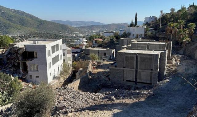 Ünlü sanatçı Suavi'ye Bodrum'da ağaç katliamı cezası