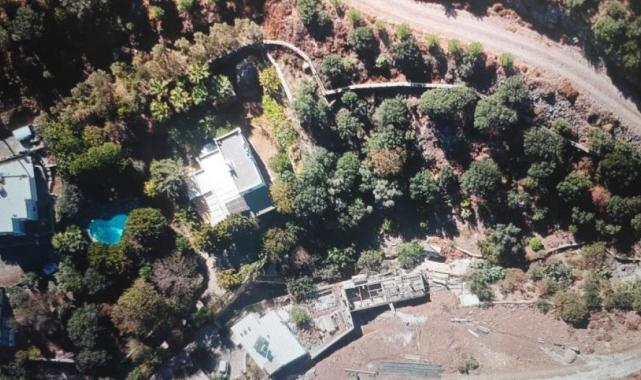 Ünlü sanatçı Suavi'ye Bodrum'da ağaç katliamı cezası