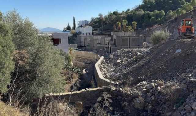 Ünlü sanatçı Suavi'ye Bodrum'da ağaç katliamı cezası