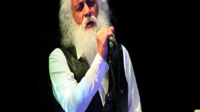 Ünlü sanatçı Suavi'ye Bodrum'da ağaç katliamı cezası