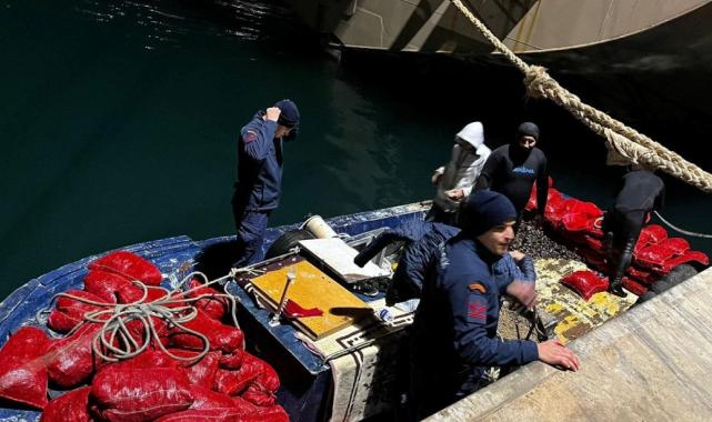 Yalova'da, izinsiz avlanan 20 ton midye denize döküldü