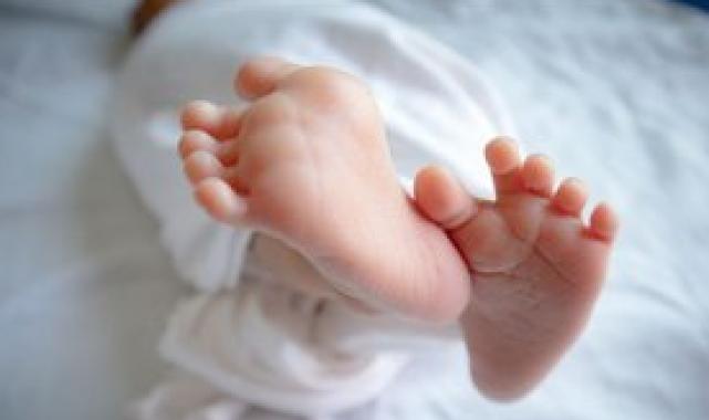 'Yenidoğan Çetesi', 18 Kasım'da hakim karşısına çıkacak