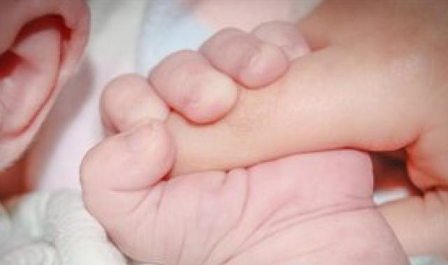 Yenidoğan Çetesi savunma yapıyor: Yeni günden detaylar